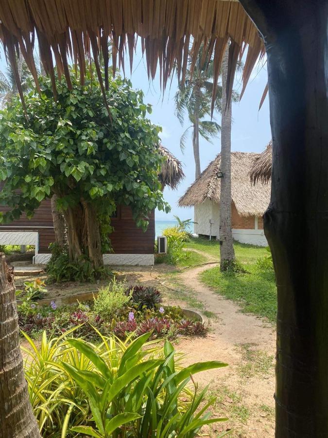 Wild Wood X Hansa Beach Fitness Resort Thongsala Ngoại thất bức ảnh